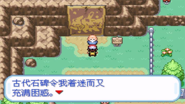 口袋妖怪盖亚图3