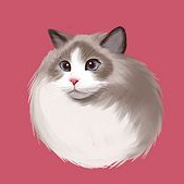 少女壁纸app