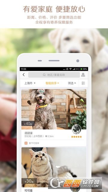 小狗在家宠物狗猫图2