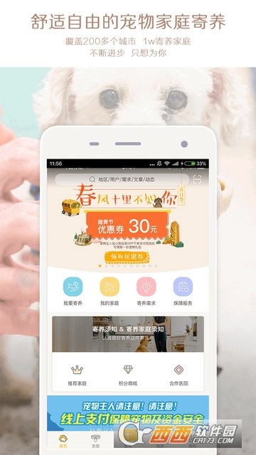 小狗在家宠物狗猫图3