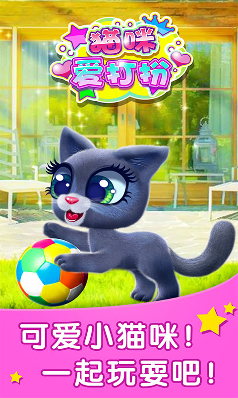 猫咪爱打扮图3