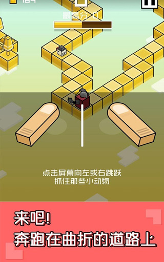 乘胜追鸡图3