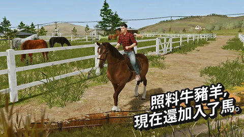 模拟农场20中国卡车图2