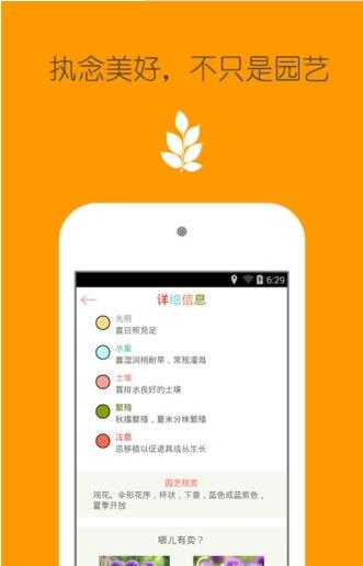 花之谷手机版图3