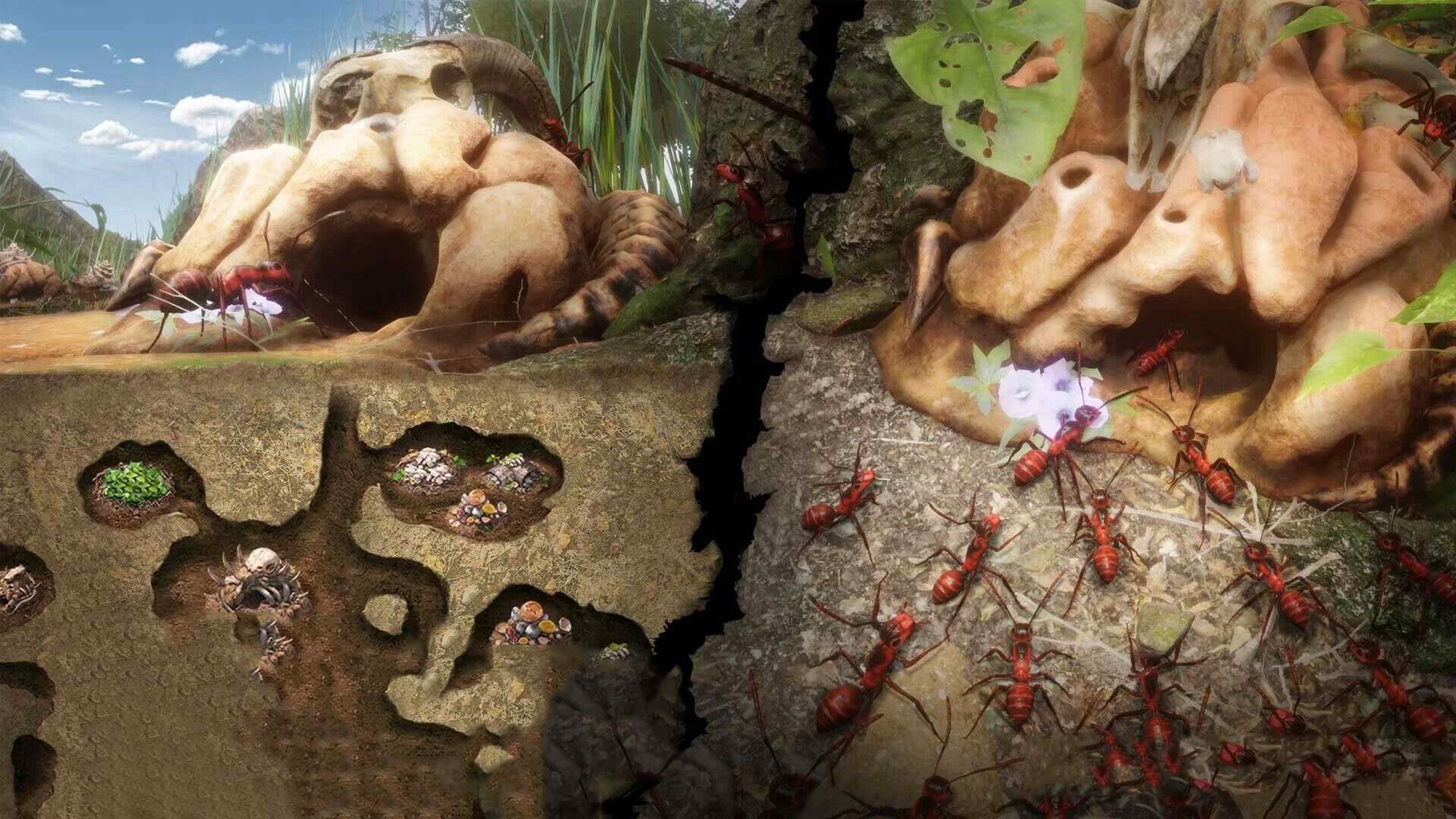 小小蚁窝游戏最新版图2