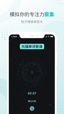 飞鱼专注最新版截图3