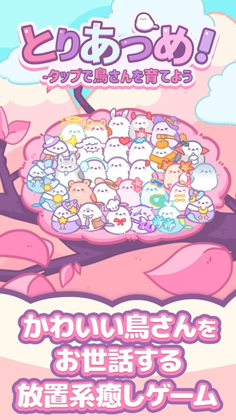 小鸟收集图1