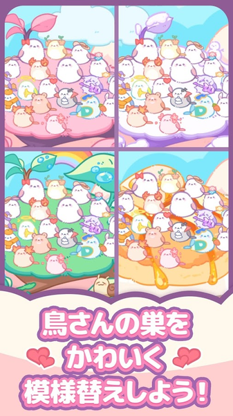 小鸟收集图3