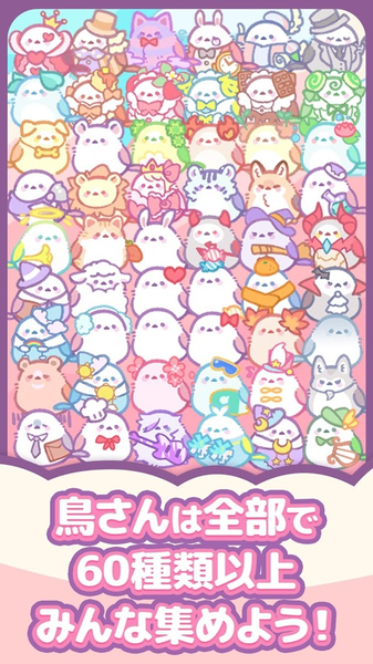 小鸟收集图4