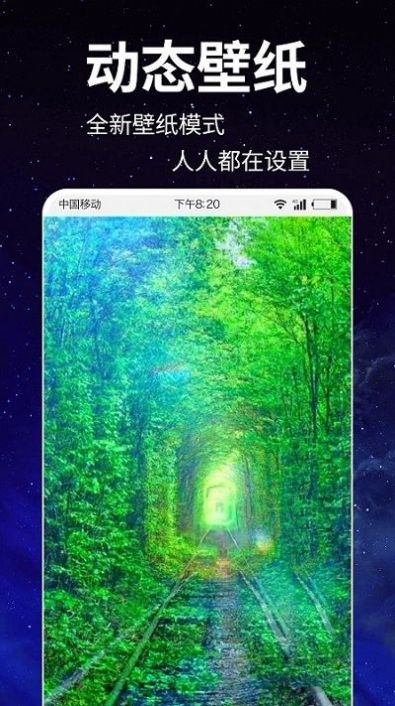 动态壁纸4k免费app手机版