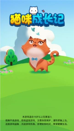 猫咪成长记图1