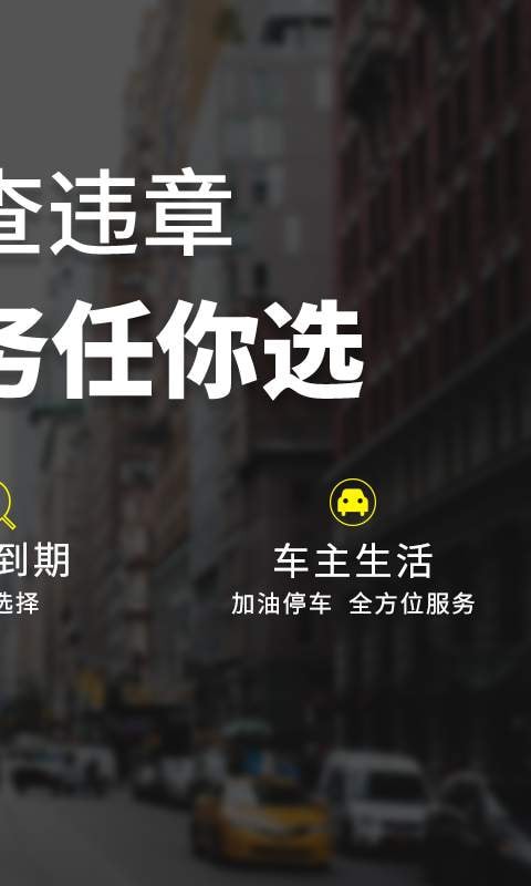 麦丘查违章图3