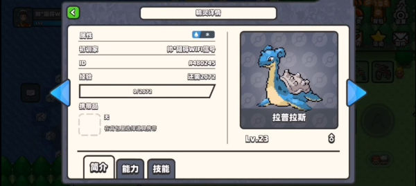 口袋妖怪DS图2