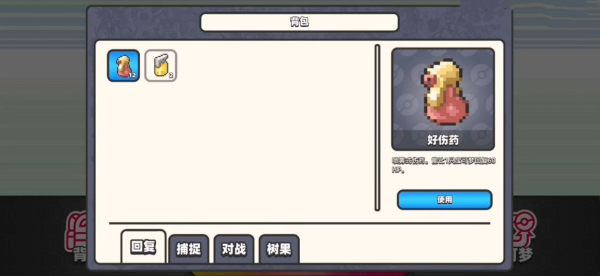 口袋妖怪DS图3