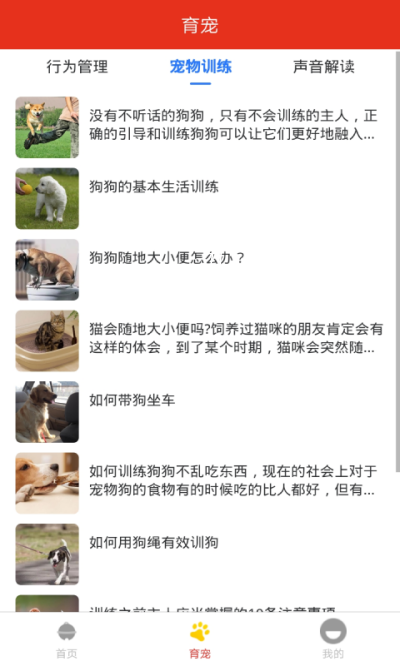 萌宠宠物之家手机版图2