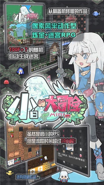 小白的大冒险图2