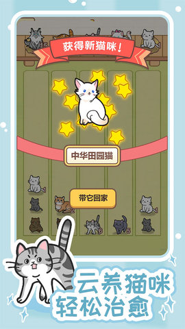 解压猫咪图4