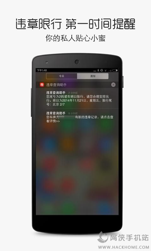 违章查询助手截图3