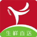 叼来归app手机版