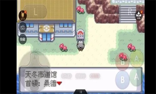 口袋妖怪无名图3