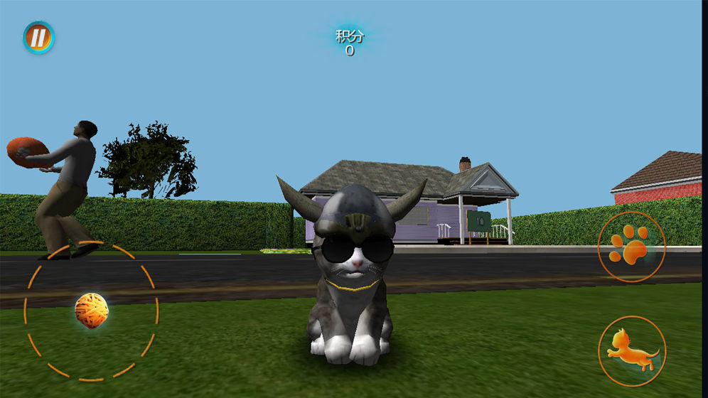 真实小猫3D模拟手机版图2