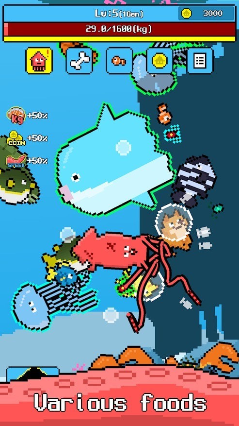 巨型乌贼图1