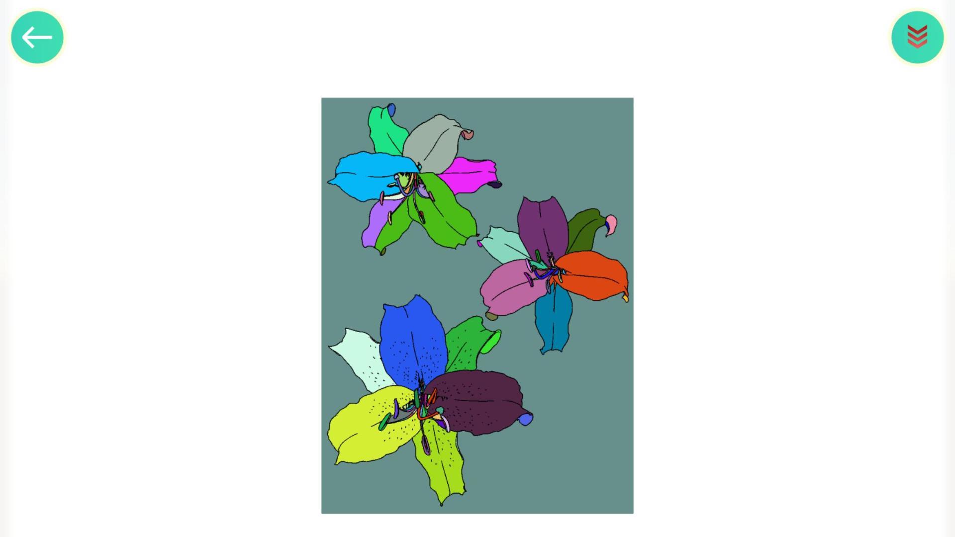 植物填色画画HD图1