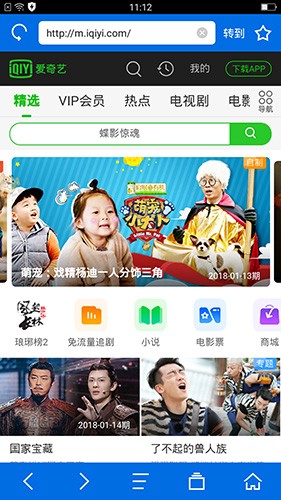 寰宇浏览器app图3