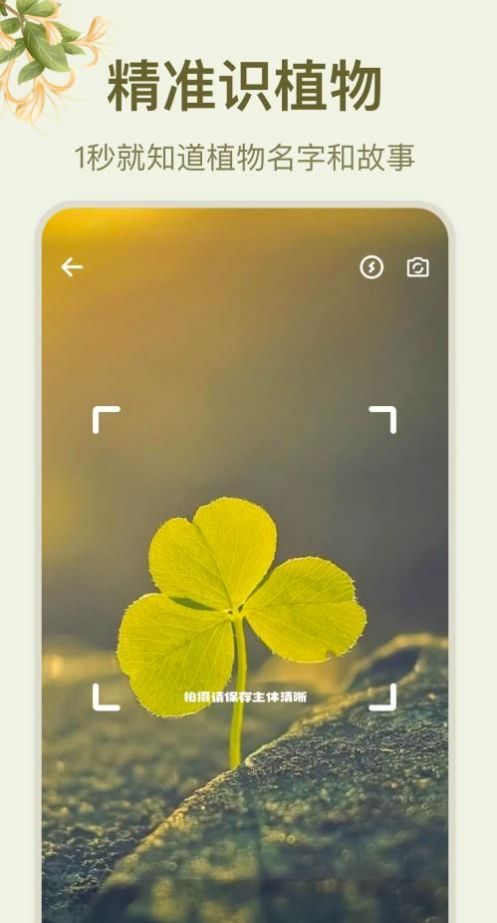 拍照识花大师截图1