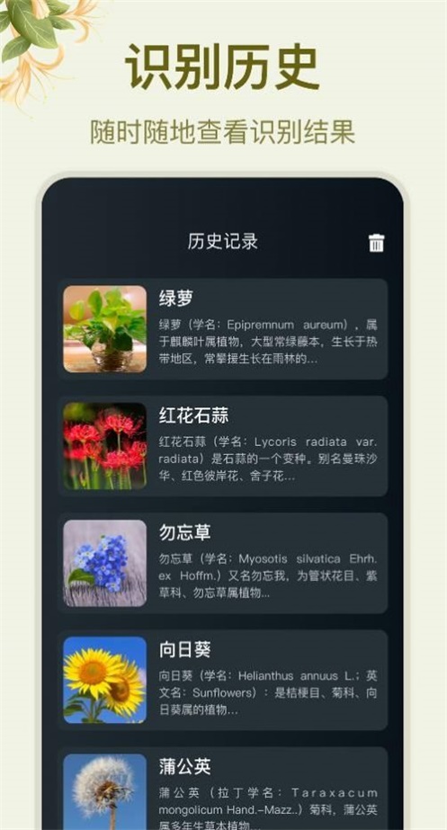 拍照识花大师截图3