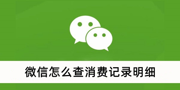 微信怎么查消费记录明细