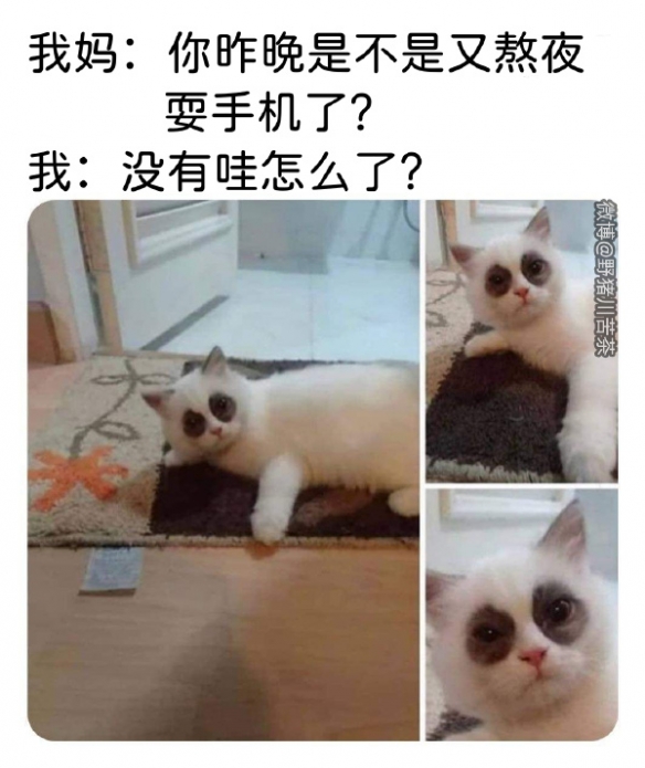 这个产品可以摸摸看吗？ 囧图 你刚刚说了‘原’对吧