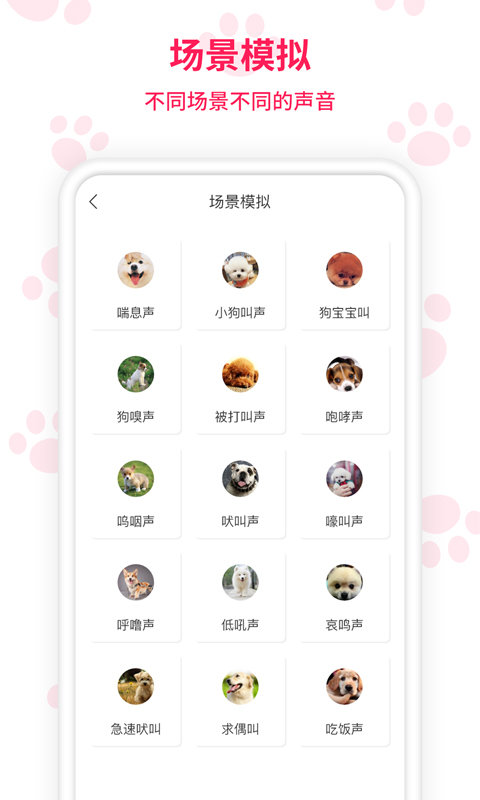 人猫人狗交流师图1