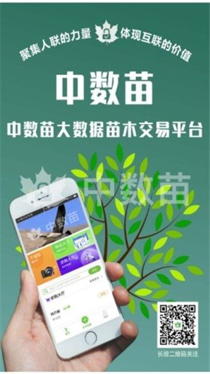 中数苗最新版截图1