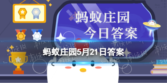 你注意过吗？我国的盲道表面通常是什么形状的凸起？ 蚂蚁庄园5月21日答案