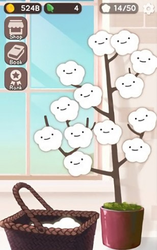 木棉花进化史图3