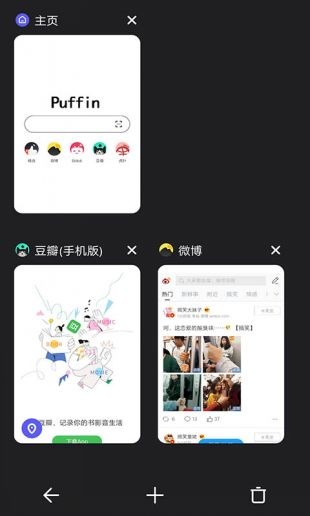 puffin浏览器官网版图2