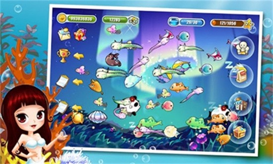 开心水族箱图2