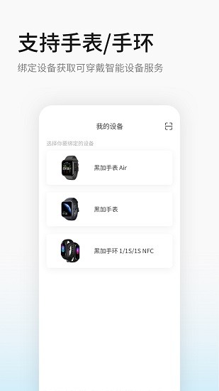 黑加手机版图2