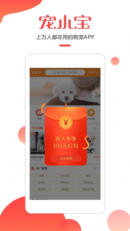 宠小宝最新版图1