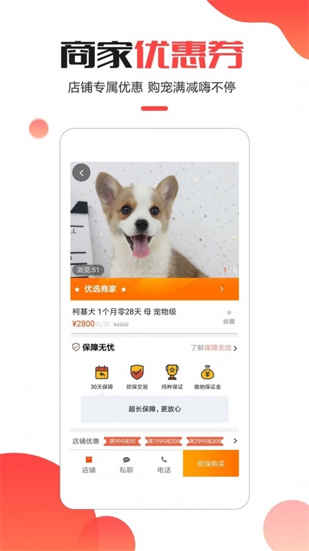 宠小宝最新版图3