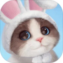 我和我的猫安卓版