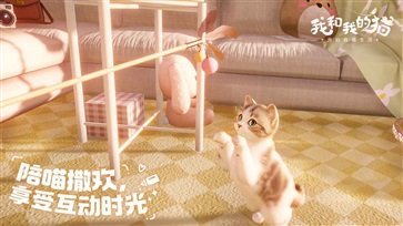 我和我的猫安卓版图1