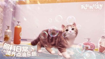 我和我的猫安卓版图2