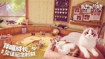 我和我的猫安卓版图3