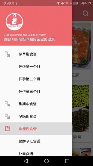 孕妇营养食谱截图2