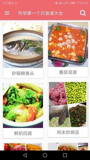 孕妇营养食谱截图3