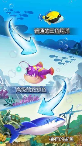 猫猫水族馆最新版图1