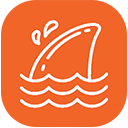 飞鲨壁纸app