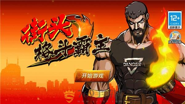 街头格斗霸主图2